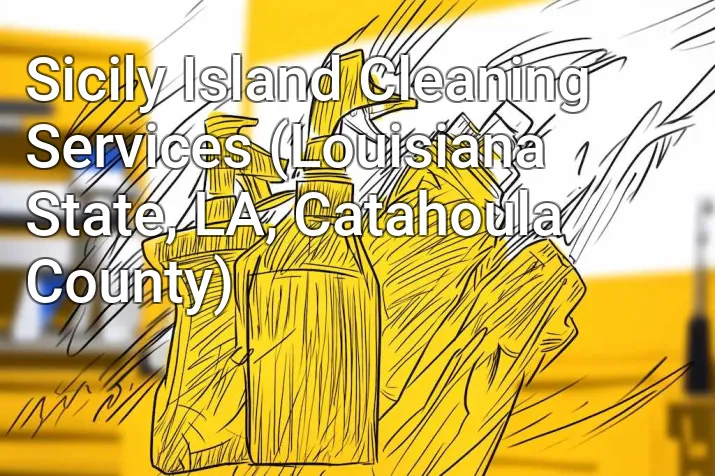 Sicily Island Cleaning Services (Louisiana State, LA, Catahoula County)
