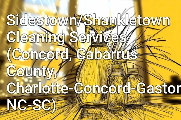Sidestown/Shankletown Cleaning Services (Concord, Cabarrus County, Charlotte-Concord-Gastonia, NC-SC)