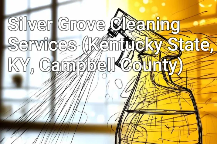 Silver Grove Cleaning Services (Kentucky State, KY, Campbell County)