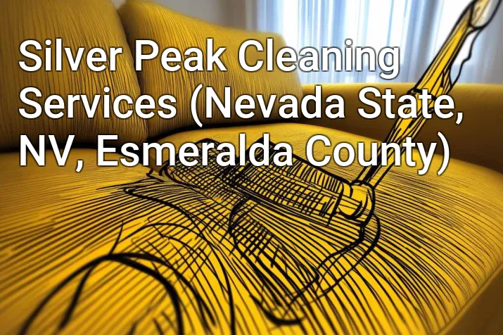 Silver Peak Cleaning Services (Nevada State, NV, Esmeralda County)