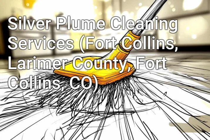 Silver Plume Cleaning Services (Fort Collins, Larimer County, Fort Collins, CO)