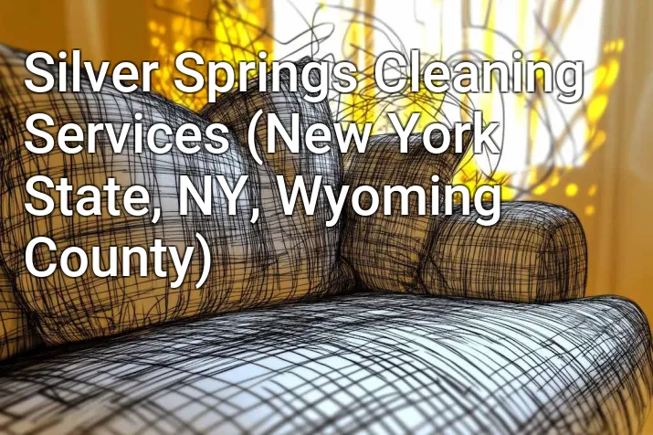 Silver Springs Cleaning Services (New York State, NY, Wyoming County)