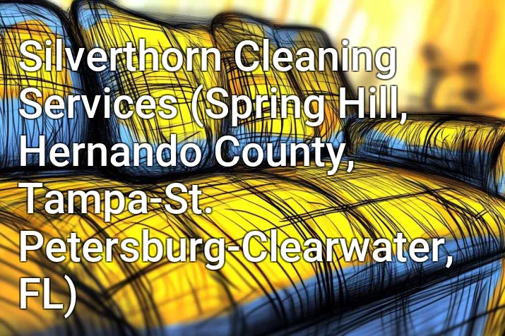 Silverthorn Cleaning Services (Spring Hill, Hernando County, Tampa-St. Petersburg-Clearwater, FL)