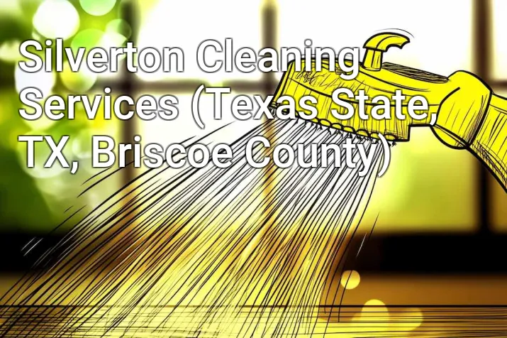 Silverton Cleaning Services (Texas State, TX, Briscoe County)