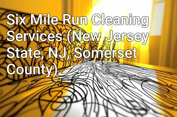 Six Mile Run Cleaning Services (New Jersey State, NJ, Somerset County)