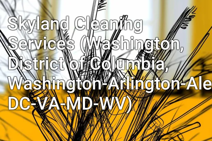 Skyland Cleaning Services (Washington, District of Columbia, Washington-Arlington-Alexandria, DC-VA-MD-WV)