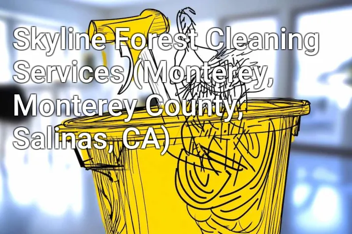 Skyline Forest Cleaning Services (Monterey, Monterey County, Salinas, CA)