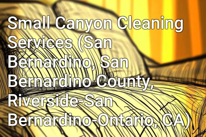 Small Canyon Cleaning Services (San Bernardino, San Bernardino County, Riverside-San Bernardino-Ontario, CA)
