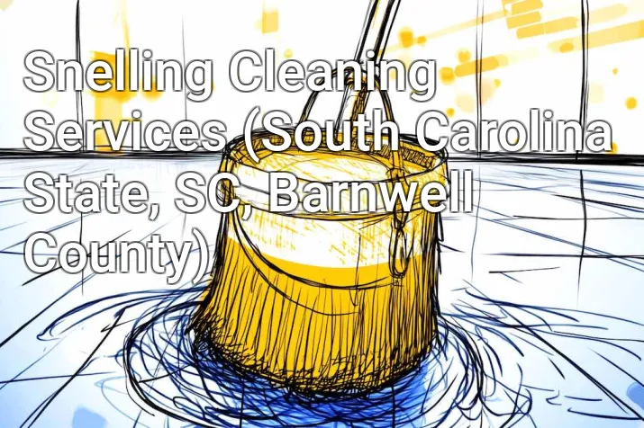 Snelling Cleaning Services (South Carolina State, SC, Barnwell County)