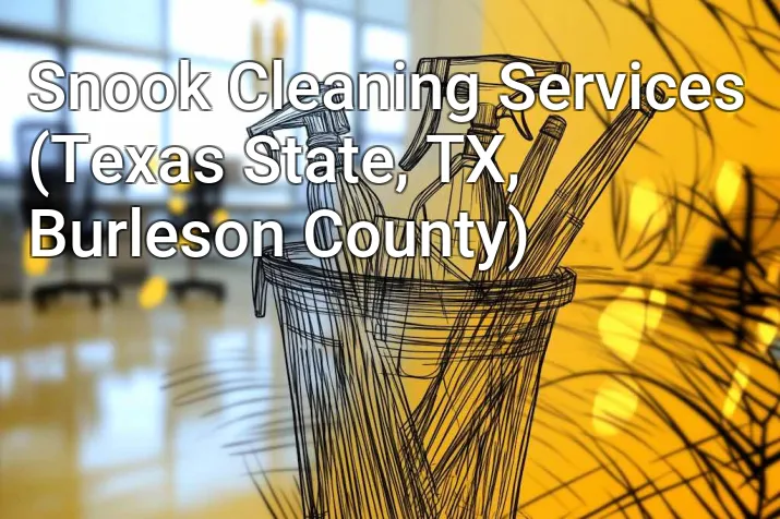 Snook Cleaning Services (Texas State, TX, Burleson County)