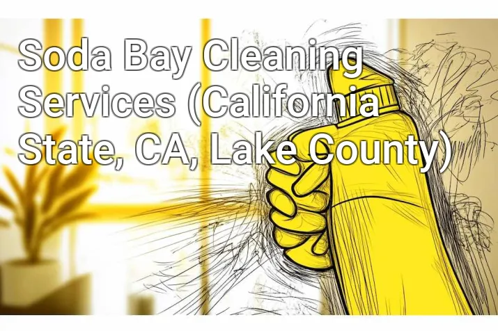 Soda Bay Cleaning Services (California State, CA, Lake County)