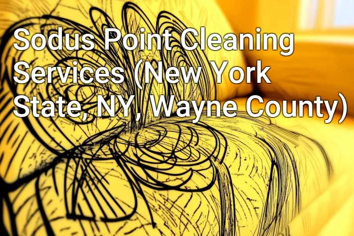 Sodus Point Cleaning Services (New York State, NY, Wayne County)