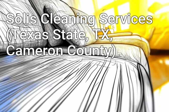 Solis Cleaning Services (Texas State, TX, Cameron County)