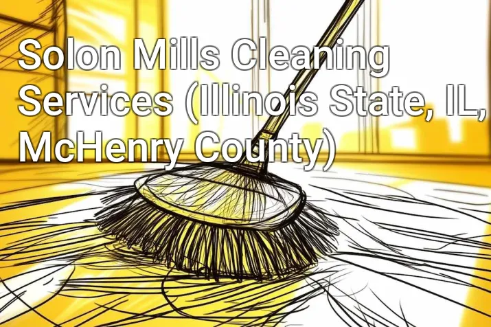 Solon Mills Cleaning Services (Illinois State, IL, McHenry County)