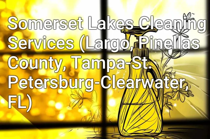 Somerset Lakes Cleaning Services (Largo, Pinellas County, Tampa-St. Petersburg-Clearwater, FL)