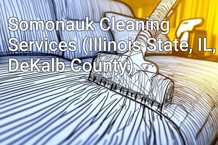 Somonauk Cleaning Services (Illinois State, IL, DeKalb County)