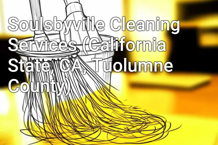 Soulsbyville Cleaning Services (California State, CA, Tuolumne County)