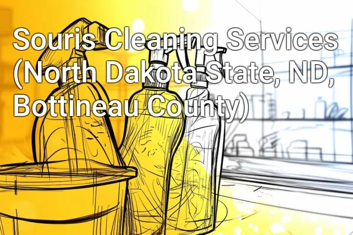 Souris Cleaning Services (North Dakota State, ND, Bottineau County)