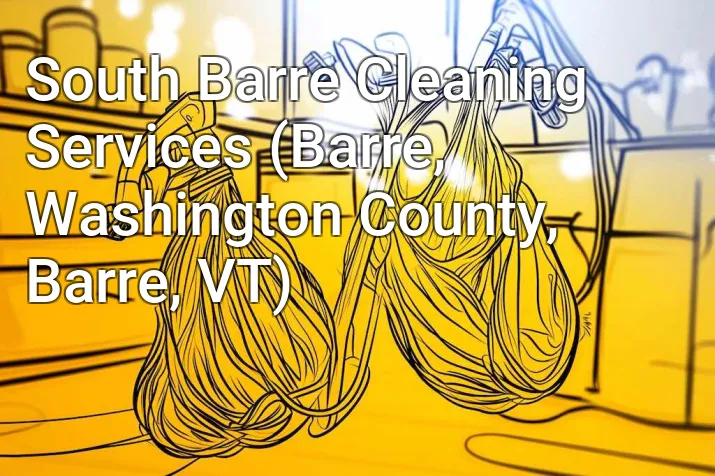 South Barre Cleaning Services (Barre, Washington County, Barre, VT)