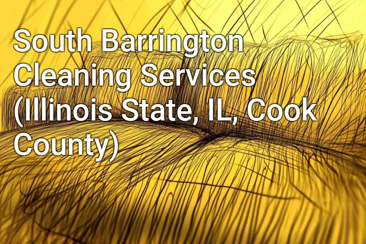 South Barrington Cleaning Services (Illinois State, IL, Cook County)