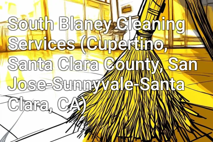 South Blaney Cleaning Services (Cupertino, Santa Clara County, San Jose-Sunnyvale-Santa Clara, CA)