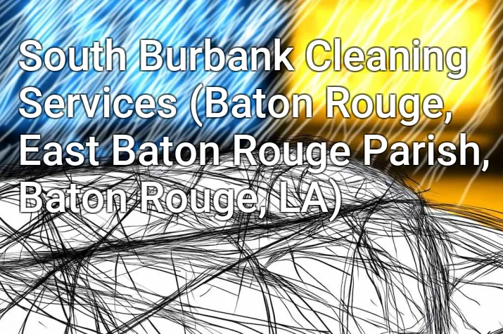South Burbank Cleaning Services (Baton Rouge, East Baton Rouge Parish, Baton Rouge, LA)