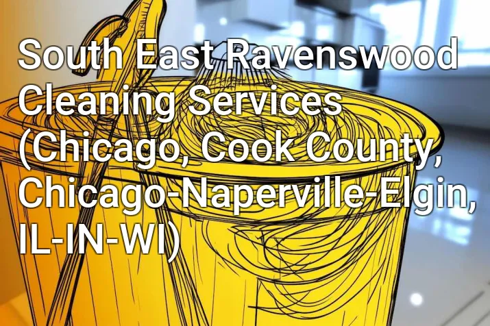 South East Ravenswood Cleaning Services (Chicago, Cook County, Chicago-Naperville-Elgin, IL-IN-WI)