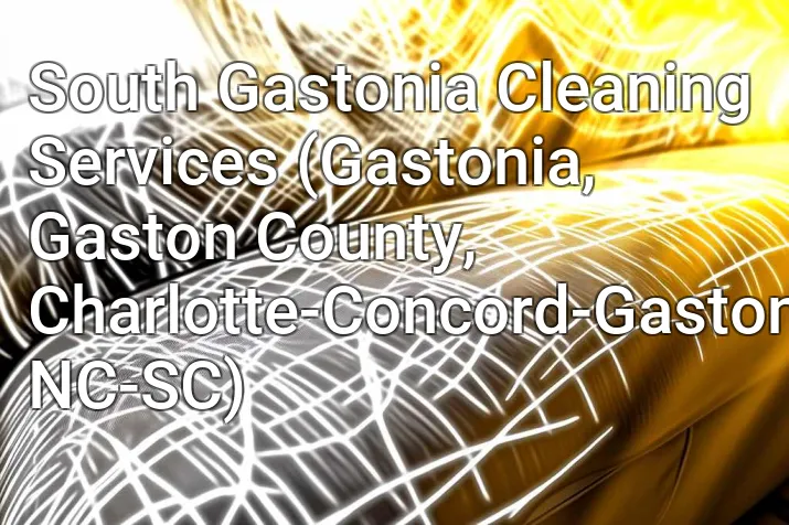 South Gastonia Cleaning Services (Gastonia, Gaston County, Charlotte-Concord-Gastonia, NC-SC)