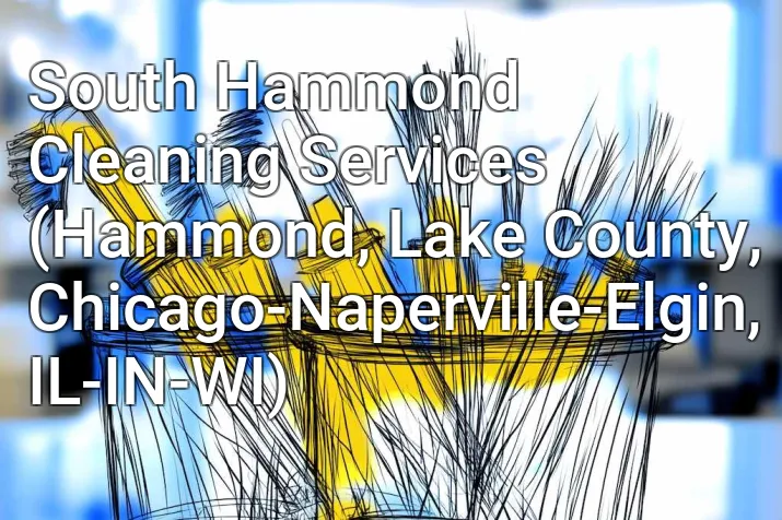 South Hammond Cleaning Services (Hammond, Lake County, Chicago-Naperville-Elgin, IL-IN-WI)