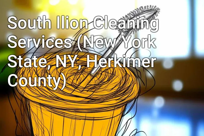 South Ilion Cleaning Services (New York State, NY, Herkimer County)