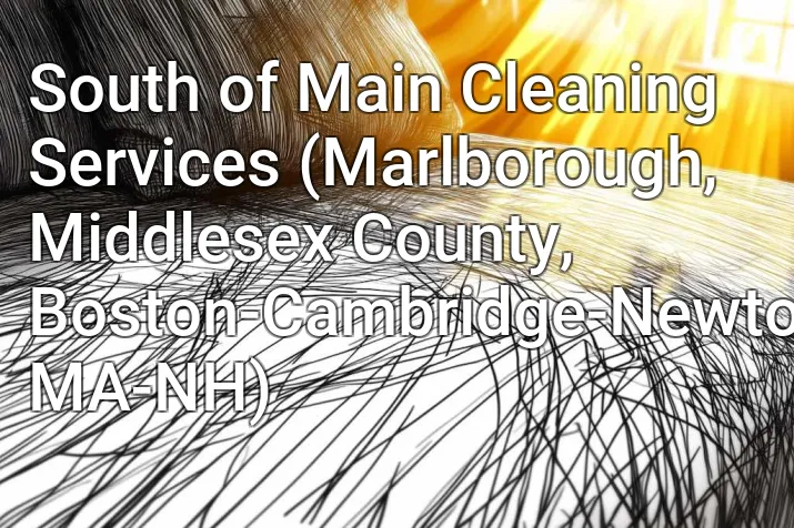 South of Main Cleaning Services (Marlborough, Middlesex County, Boston-Cambridge-Newton, MA-NH)