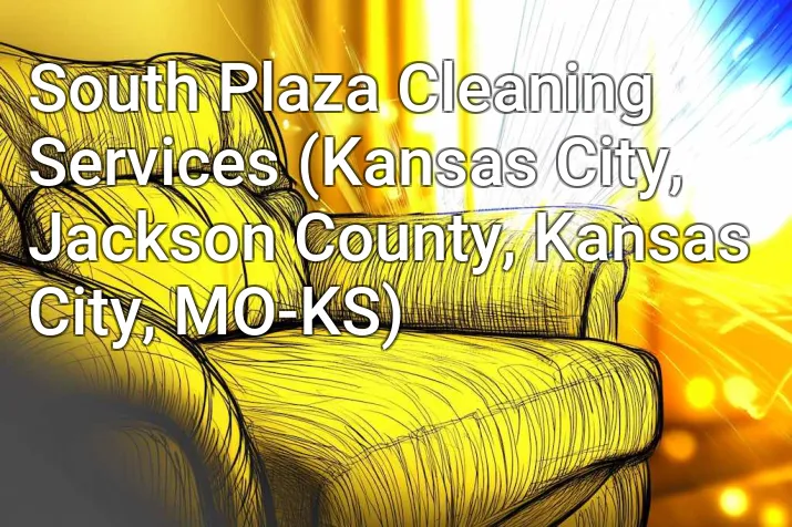 South Plaza Cleaning Services (Kansas City, Jackson County, Kansas City, MO-KS)