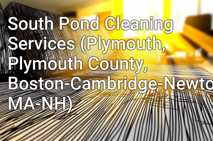 South Pond Cleaning Services (Plymouth, Plymouth County, Boston-Cambridge-Newton, MA-NH)