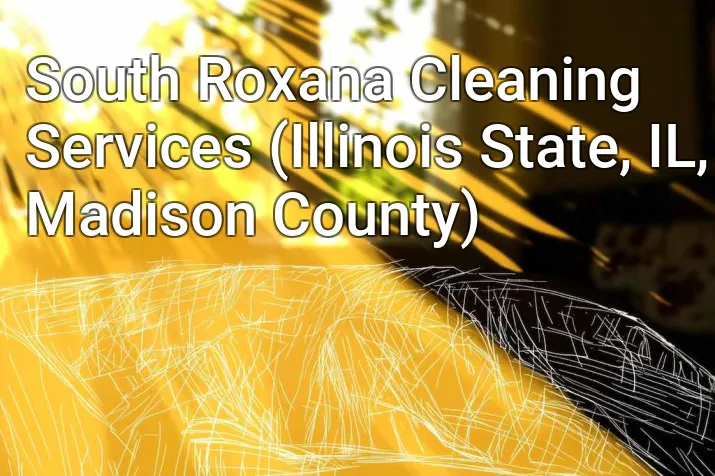 South Roxana Cleaning Services (Illinois State, IL, Madison County)