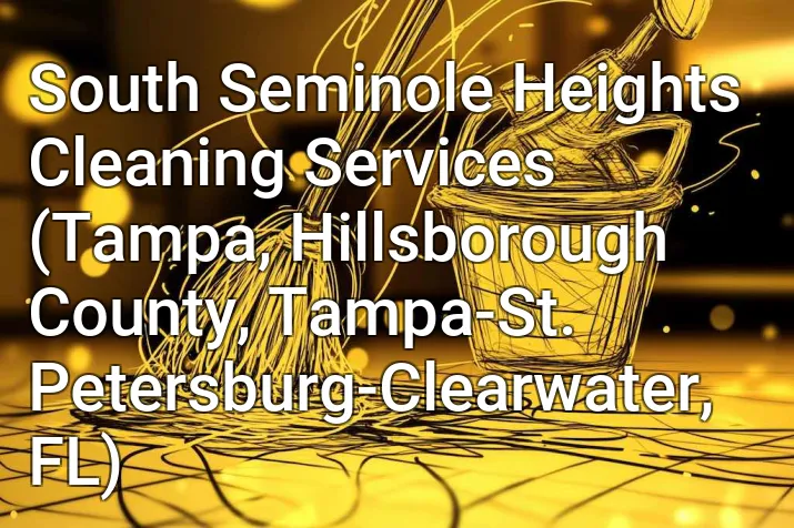 South Seminole Heights Cleaning Services (Tampa, Hillsborough County, Tampa-St. Petersburg-Clearwater, FL)