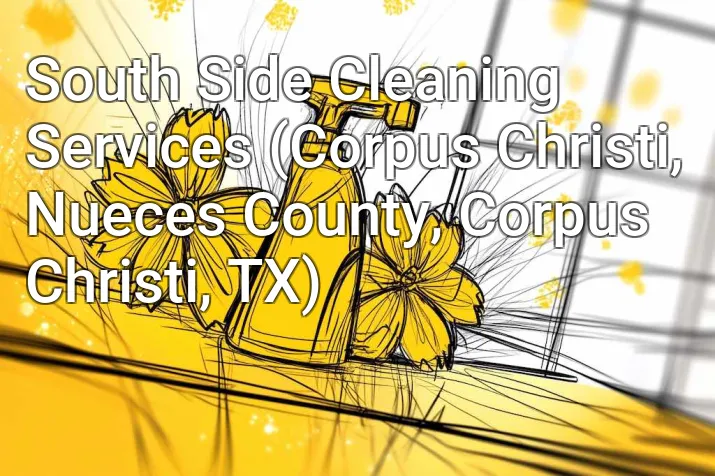 South Side Cleaning Services (Corpus Christi, Nueces County, Corpus Christi, TX)