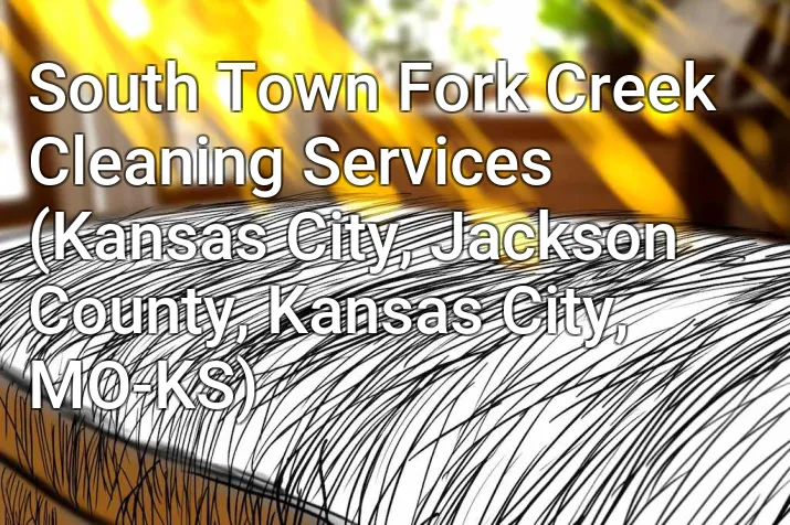 South Town Fork Creek Cleaning Services (Kansas City, Jackson County, Kansas City, MO-KS)