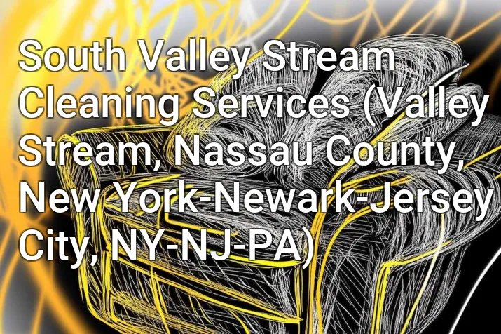 South Valley Stream Cleaning Services (Valley Stream, Nassau County, New York-Newark-Jersey City, NY-NJ-PA)