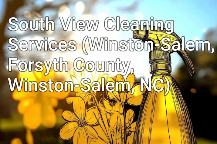 South View Cleaning Services (Winston-Salem, Forsyth County, Winston-Salem, NC)