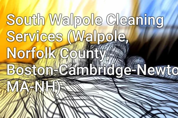 South Walpole Cleaning Services (Walpole, Norfolk County, Boston-Cambridge-Newton, MA-NH)