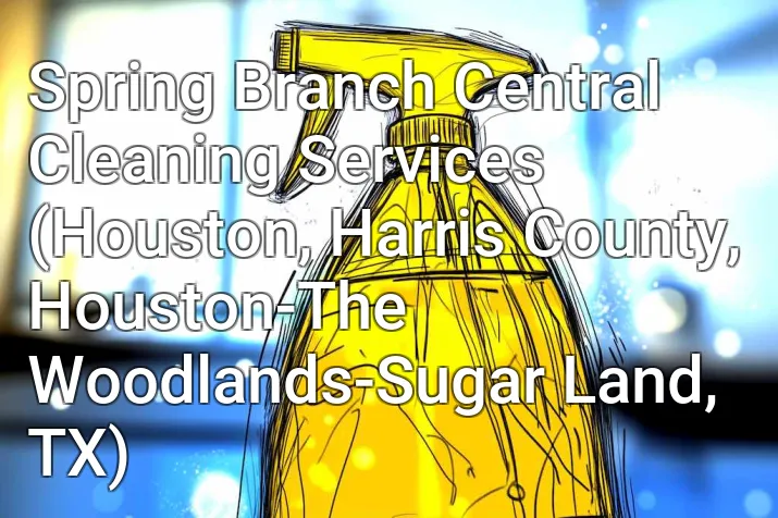 Spring Branch Central Cleaning Services (Houston, Harris County, Houston-The Woodlands-Sugar Land, TX)