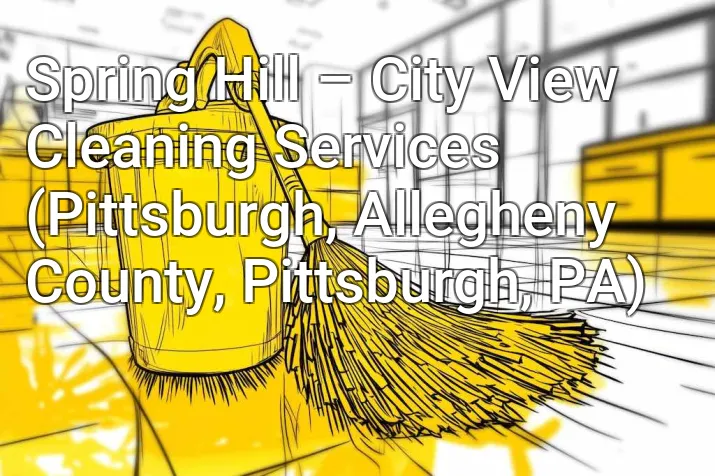 Spring Hill – City View Cleaning Services (Pittsburgh, Allegheny County, Pittsburgh, PA)