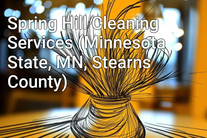 Spring Hill Cleaning Services (Minnesota State, MN, Stearns County)