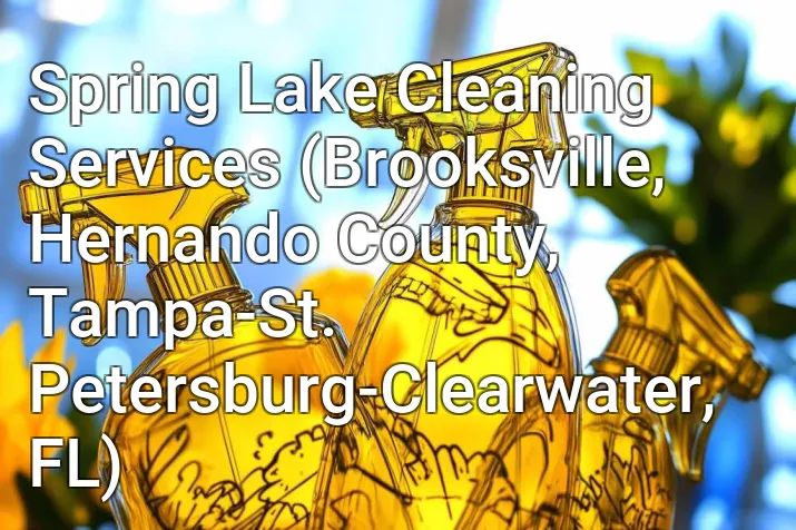 Spring Lake Cleaning Services (Brooksville, Hernando County, Tampa-St. Petersburg-Clearwater, FL)