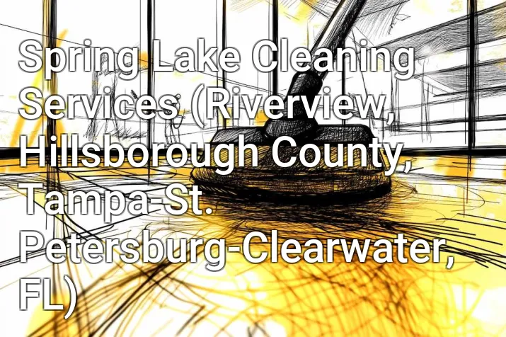 Spring Lake Cleaning Services (Riverview, Hillsborough County, Tampa-St. Petersburg-Clearwater, FL)