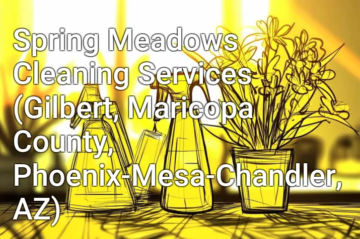 Spring Meadows Cleaning Services (Gilbert, Maricopa County, Phoenix-Mesa-Chandler, AZ)