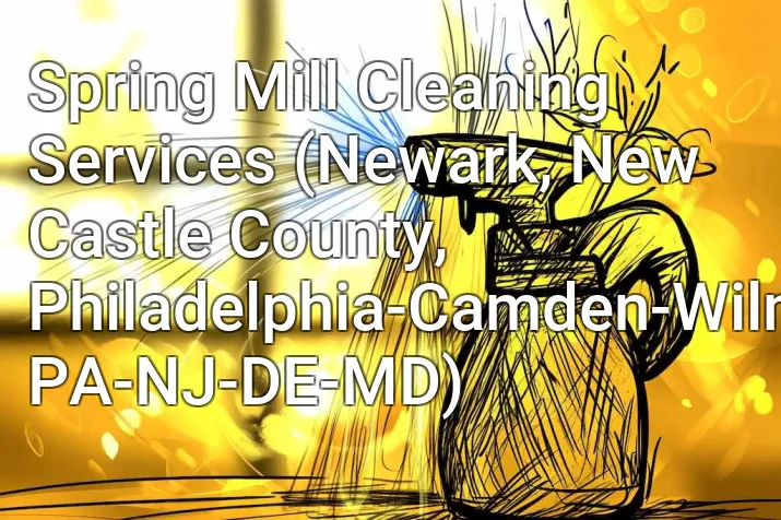 Spring Mill Cleaning Services (Newark, New Castle County, Philadelphia-Camden-Wilmington, PA-NJ-DE-MD)