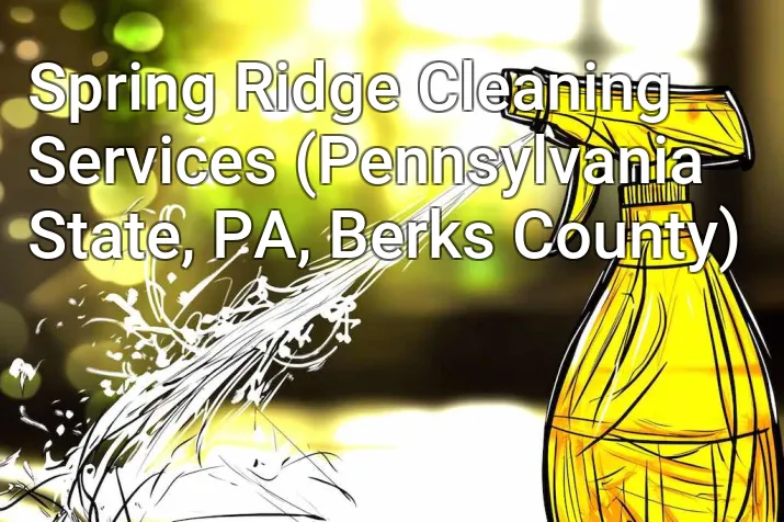 Spring Ridge Cleaning Services (Pennsylvania State, PA, Berks County)