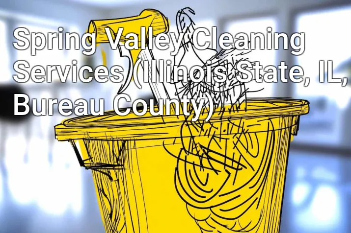 Spring Valley Cleaning Services (Illinois State, IL, Bureau County)