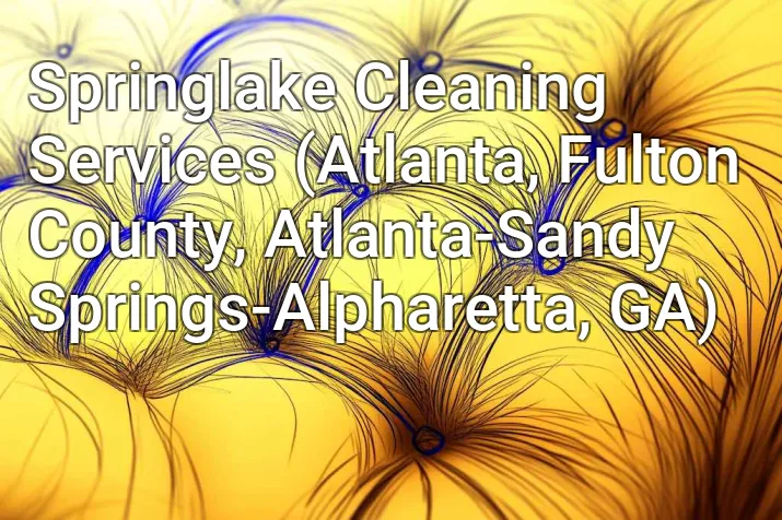 Springlake Cleaning Services (Atlanta, Fulton County, Atlanta-Sandy Springs-Alpharetta, GA)